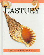 Lastury